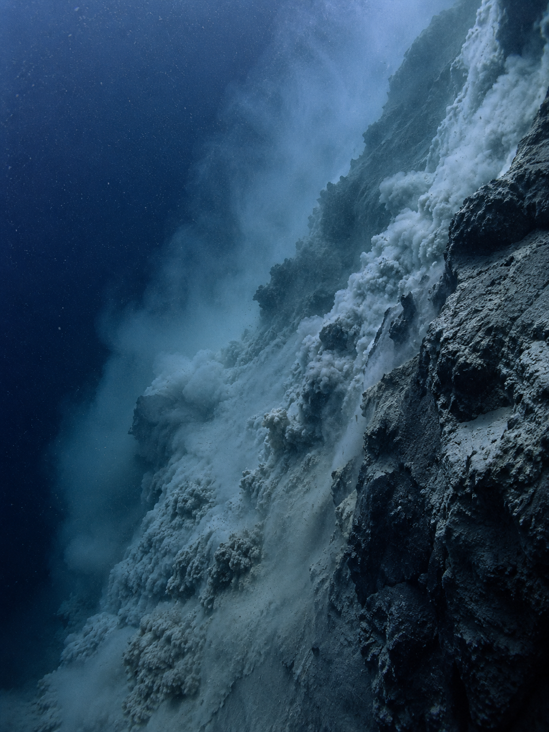 Ammonite geological landscape